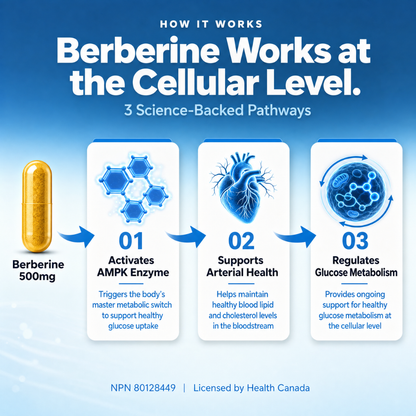 Berberine